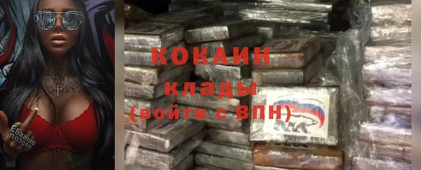 стаф Козельск