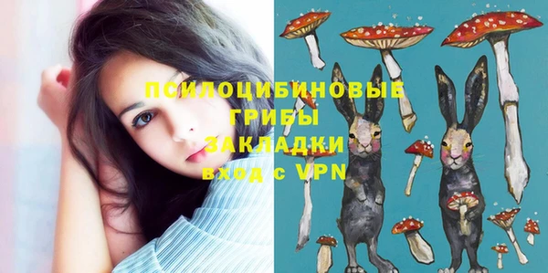 стаф Козельск