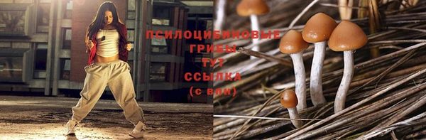 каннабис Коряжма